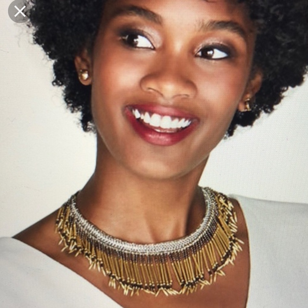 Stella & Dot CALLA FRINGE NECKLACE
